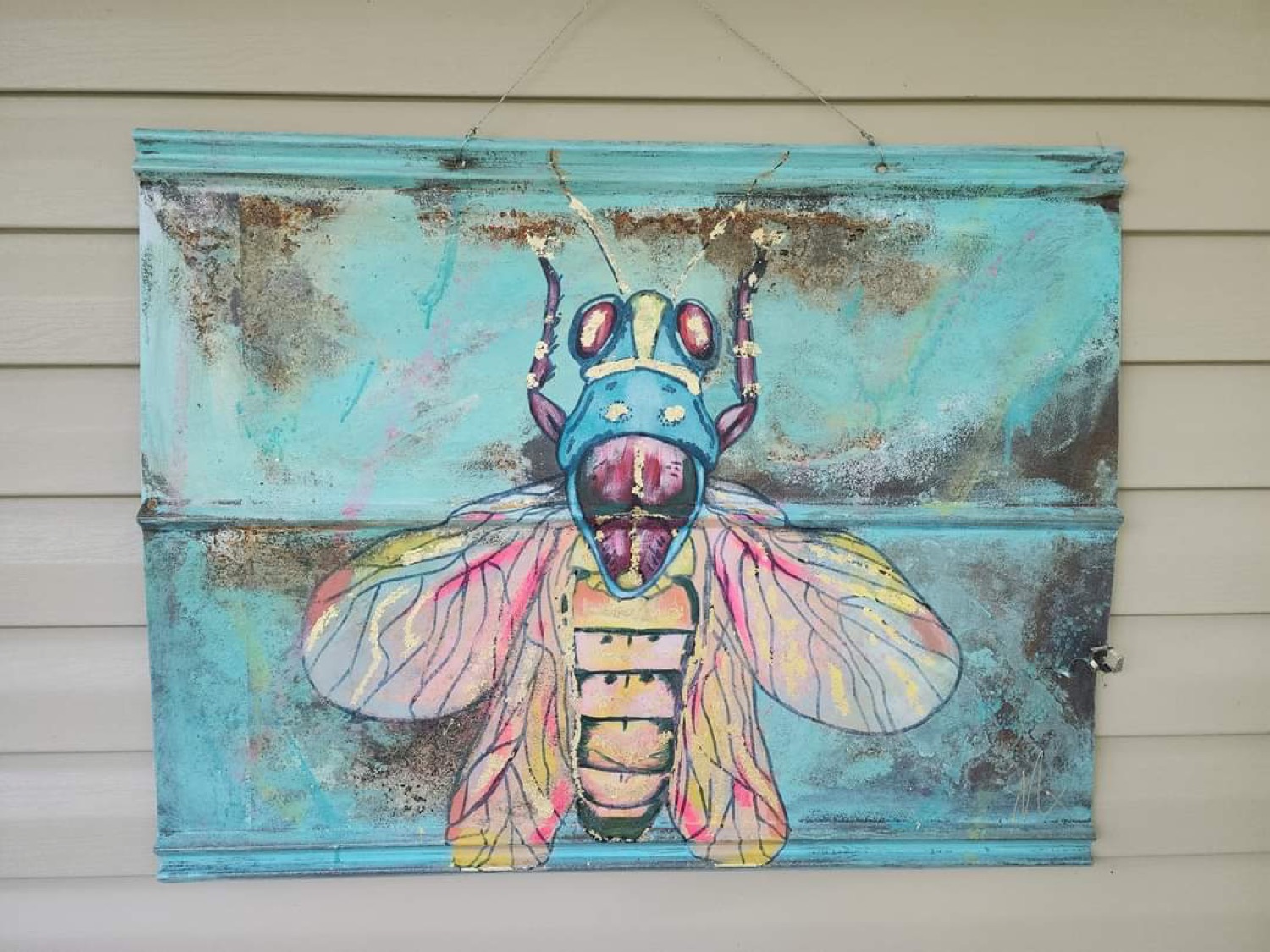 Cicada